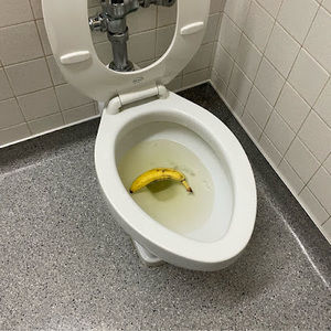 Meet your Posher, Hunter